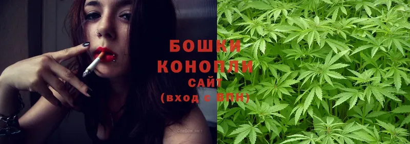 Марихуана OG Kush  Межгорье 